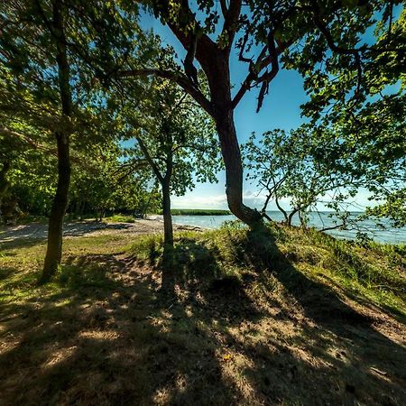 Traumhaff Kuestenchalets - Einzigartige Chalets An Der Ostsee. Ganz Aus Laerchenholz Mit Kamin Und Sauna Vogelsang-Warsin Luaran gambar