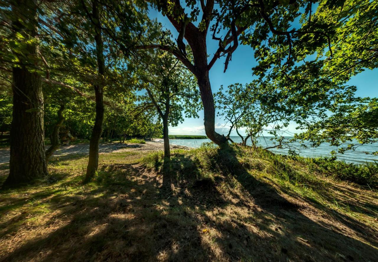 Traumhaff Kuestenchalets - Einzigartige Chalets An Der Ostsee. Ganz Aus Laerchenholz Mit Kamin Und Sauna Vogelsang-Warsin Luaran gambar
